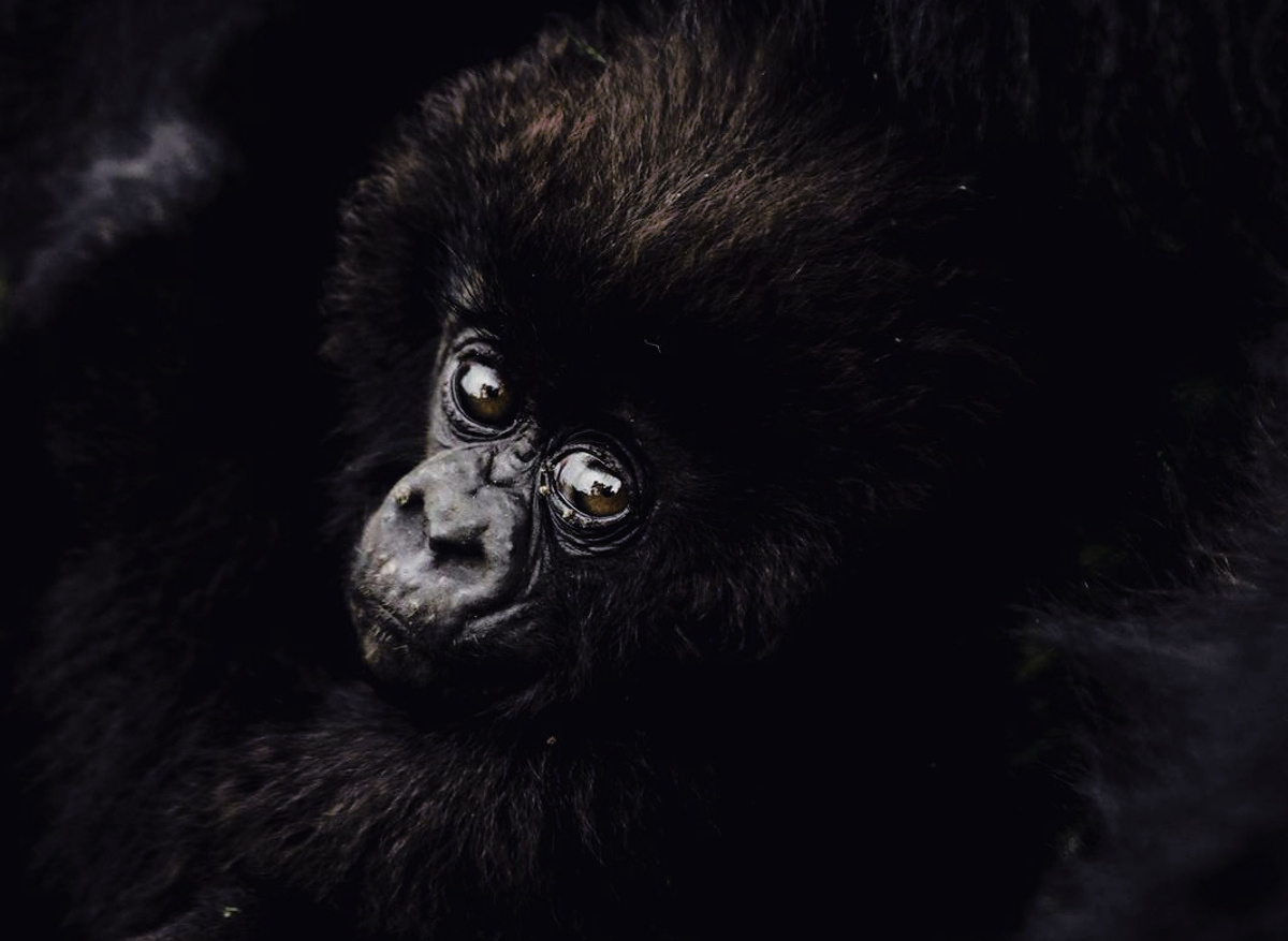 WhatsApp Image 2026-02-09 at 11.17.37 (2).jpeg