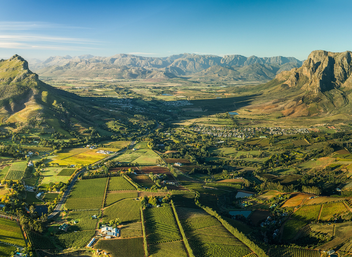 Winelands.jpeg