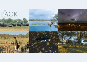 The Pack webinar Image.png