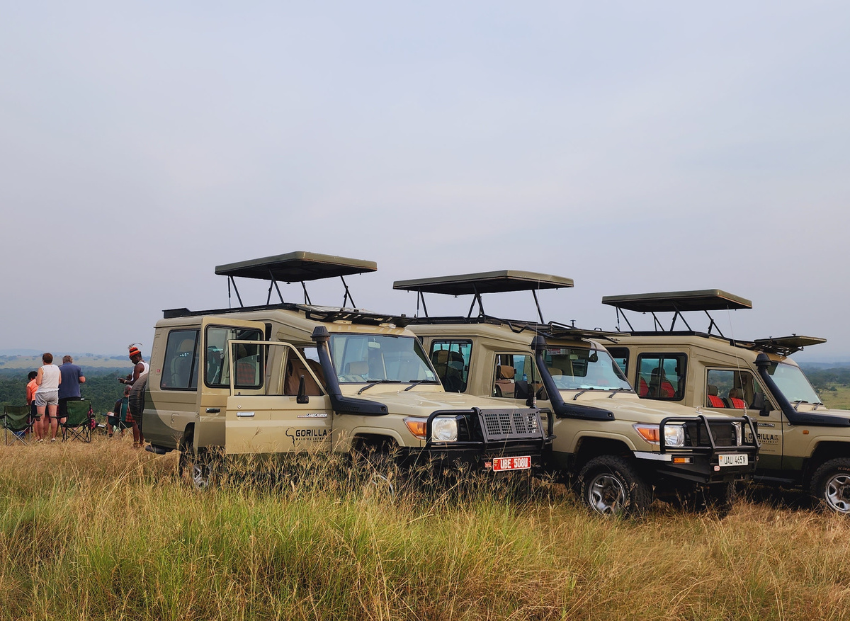 Safari Vehicles.