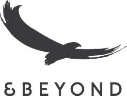 andBeyond_Logo.png