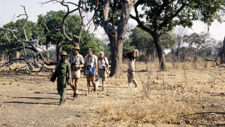 Sambia+Zimbabwe+1985+093+Luangwa.jpg