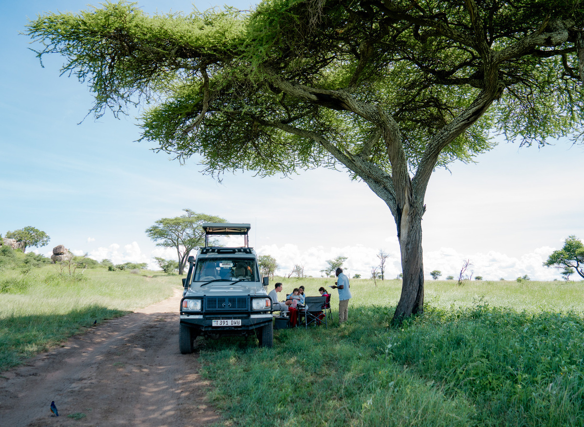 Bush Lunch Experience During a Tanzania Safari