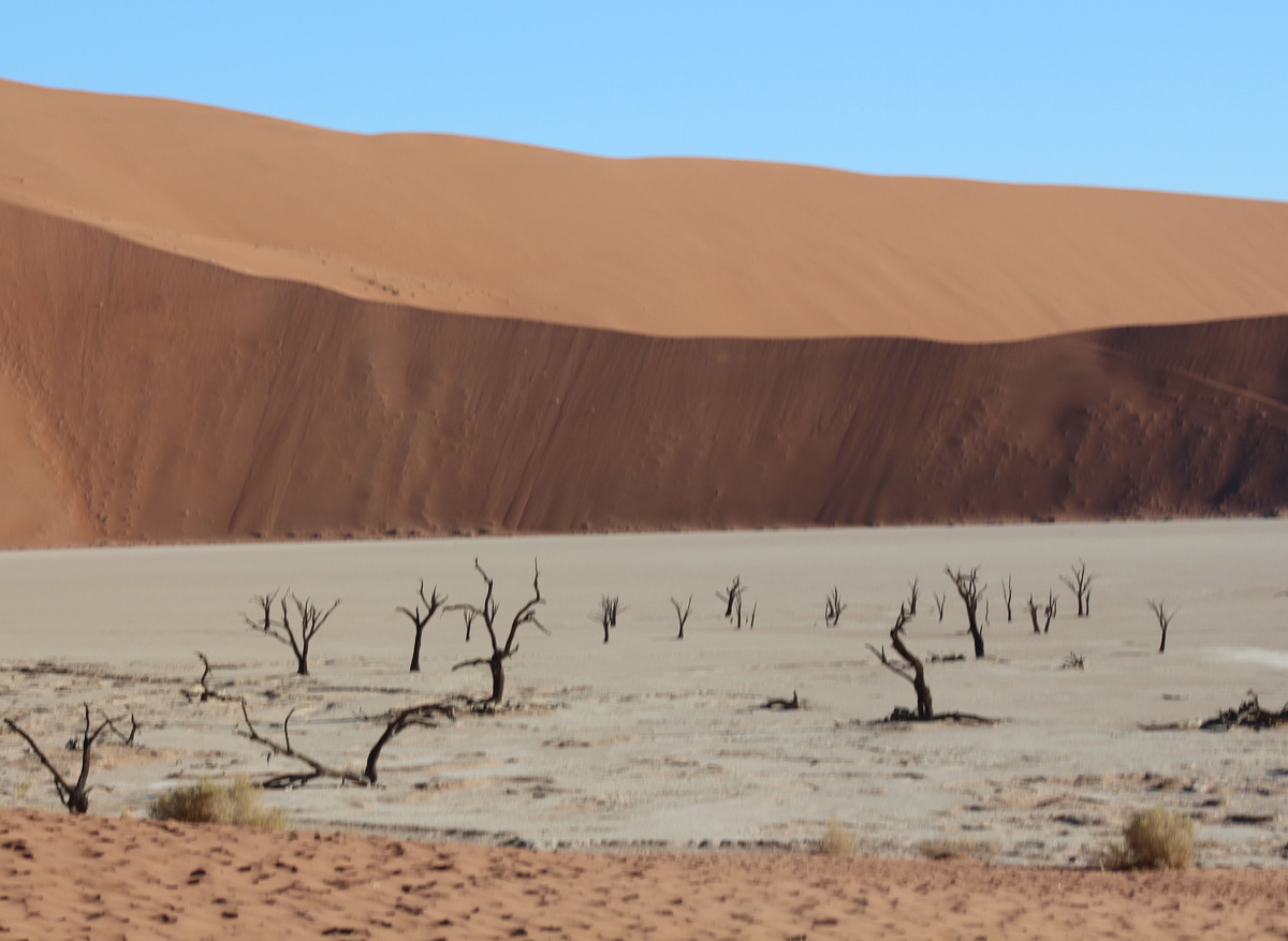 Deadvlei
