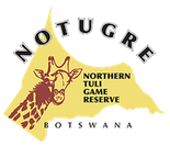 Notugre logo.png