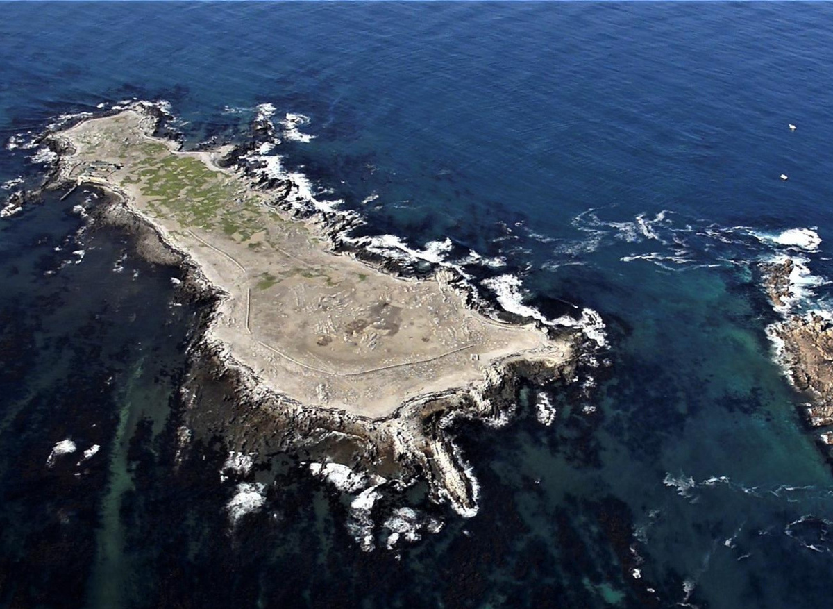 Dyer Island and Geyser Rock