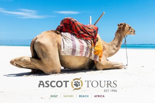 Kenya+Banner+-+Ascot+Tours.jpg