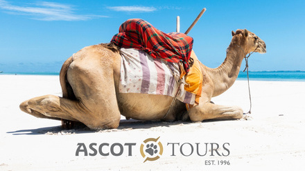 Kenya+Banner+-+Ascot+Tours.jpg