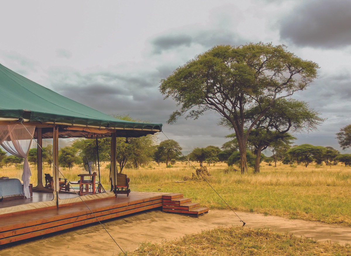 Honey Guide  (33).jpg