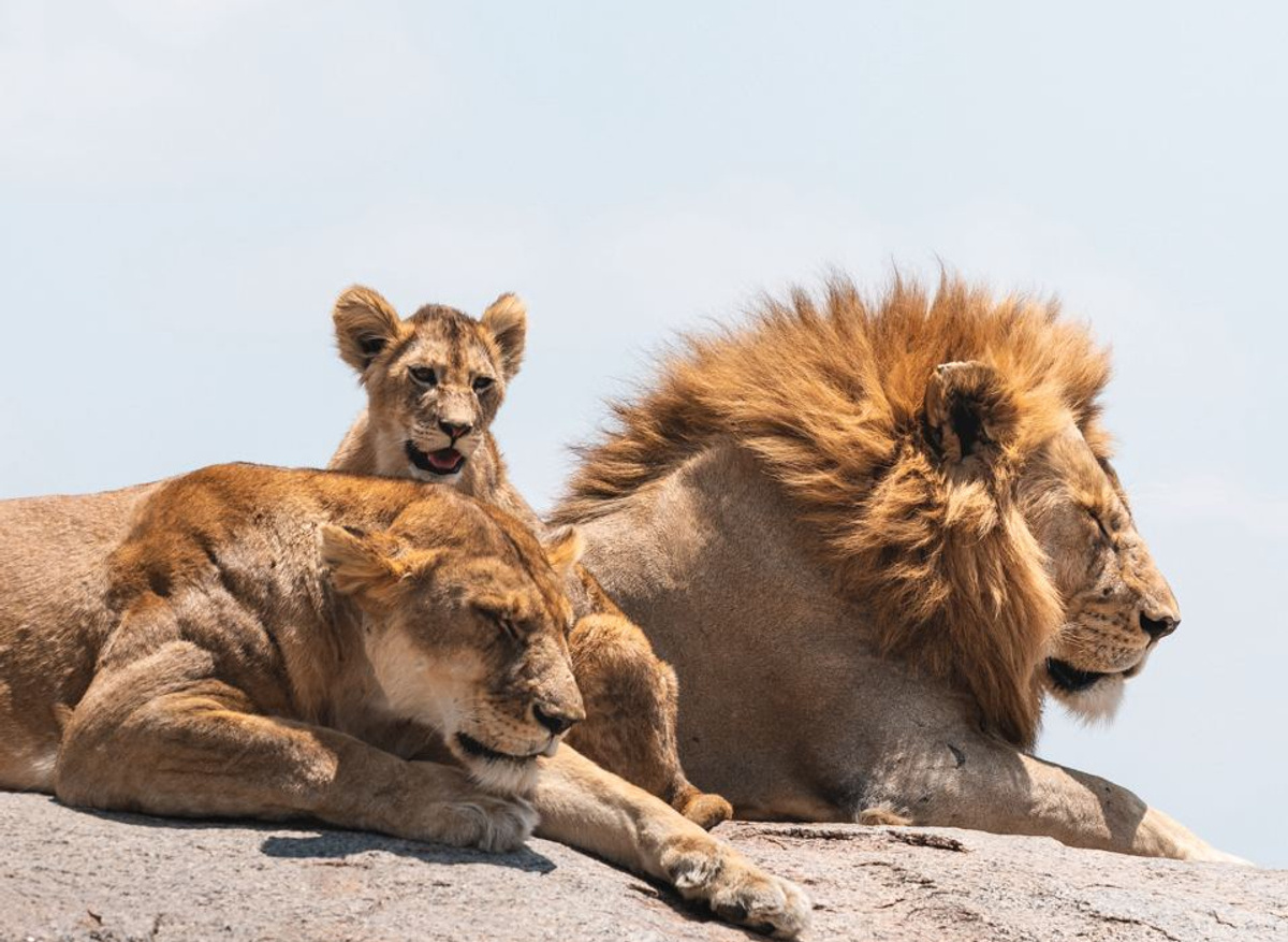 2023-12-02 18.05.05.jpg