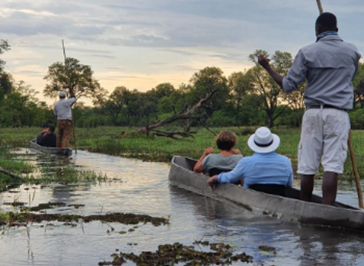 C75AED47-DBD1-43F6-ABE050B489C06761_1