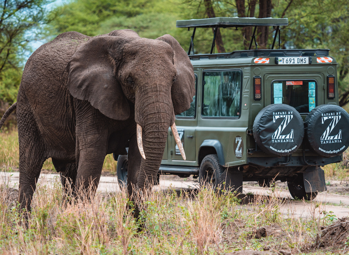 Tarangire National Park