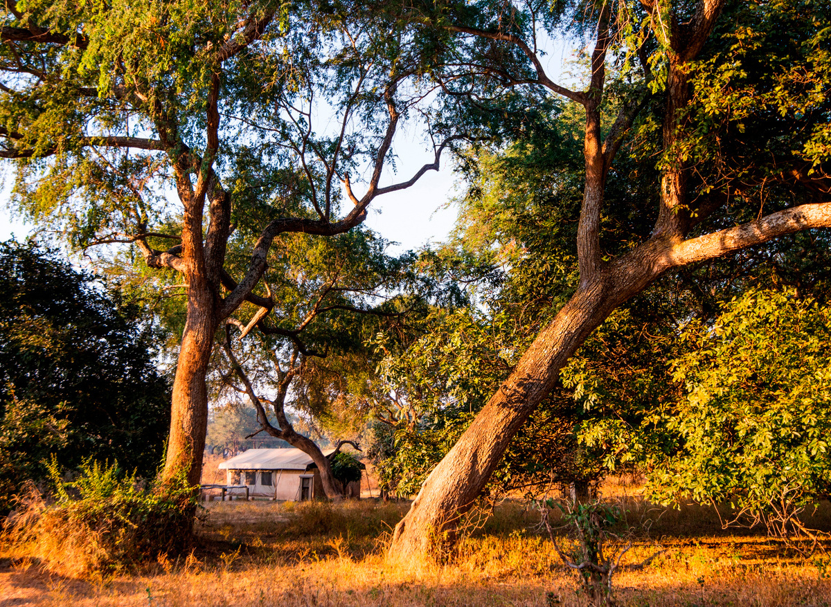 Classic tent 12 on waterhole.jpg