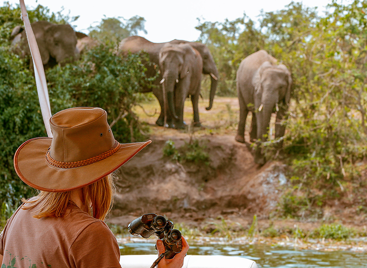 Mweya Safari Lodge Boat Safari 5.jpg