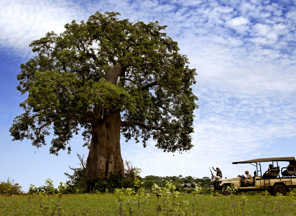 Beho Beho - Game Drive