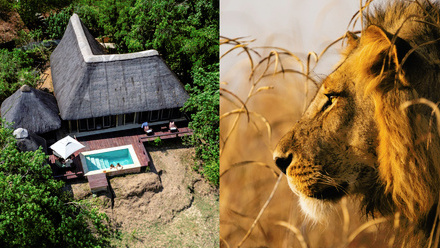 ATTAIMAGE-RZLLC -Offer.jpg