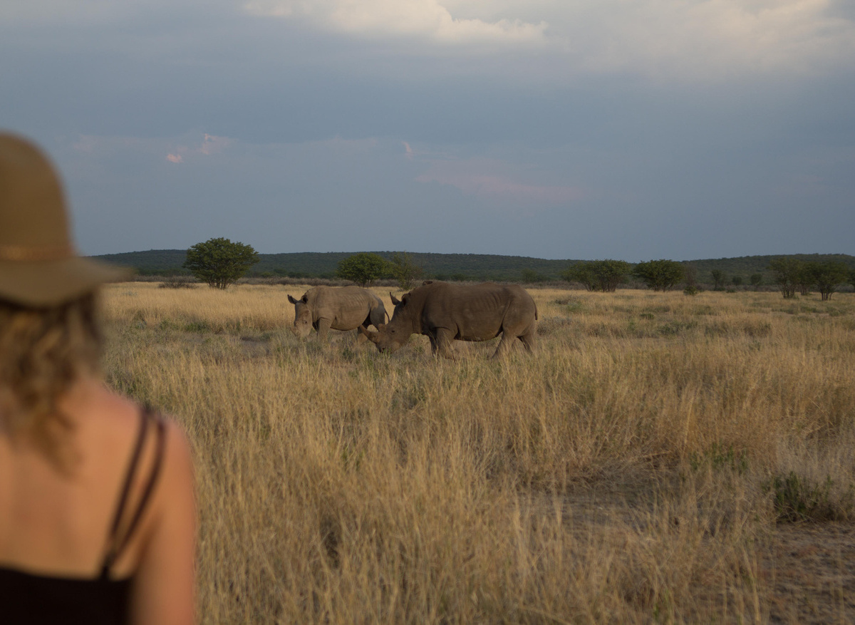 Ongava Game Reserve.jpg