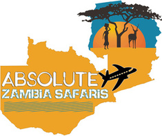 Absolute Zambia Safaris _ Logo (2).jpg