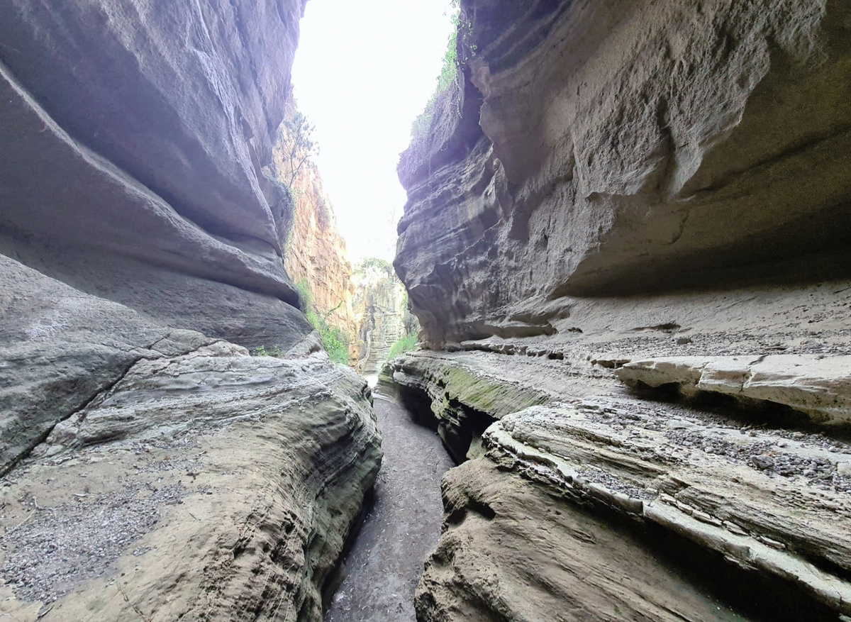 9F242CE1-D14E-49C0-9CA98E4EFECA8A33_15