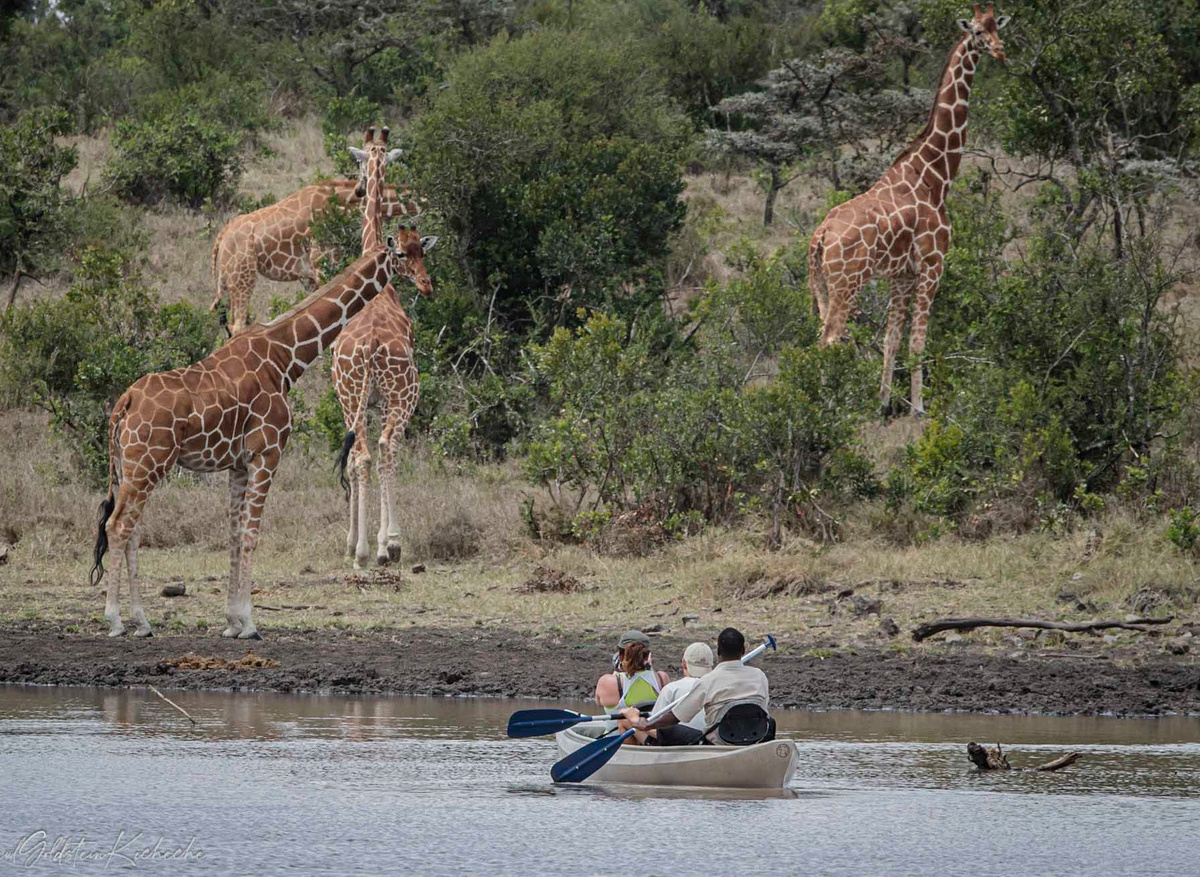 Kicheche Laikipia Camp.jpg