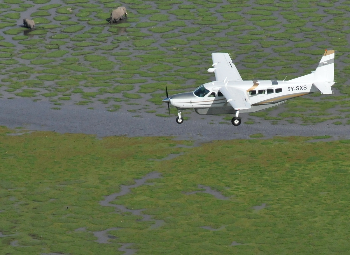 Amboseli Marshes.jpg