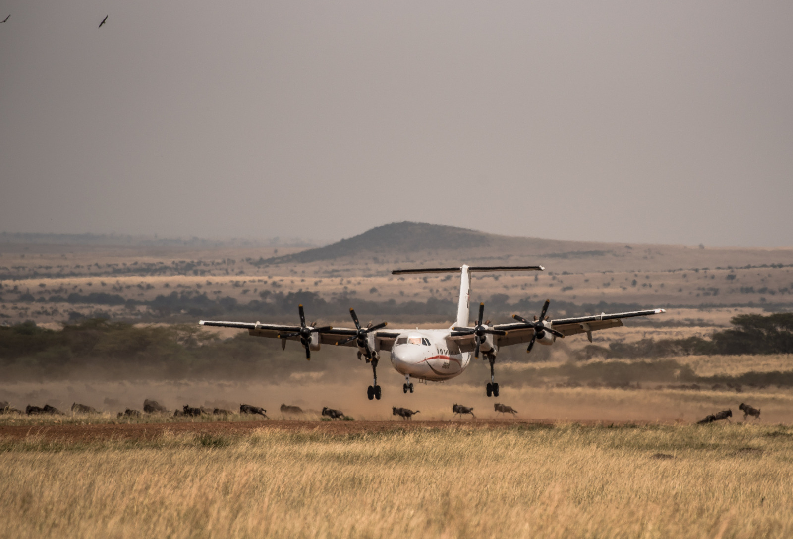 Airkenya webinar promo image.jpg