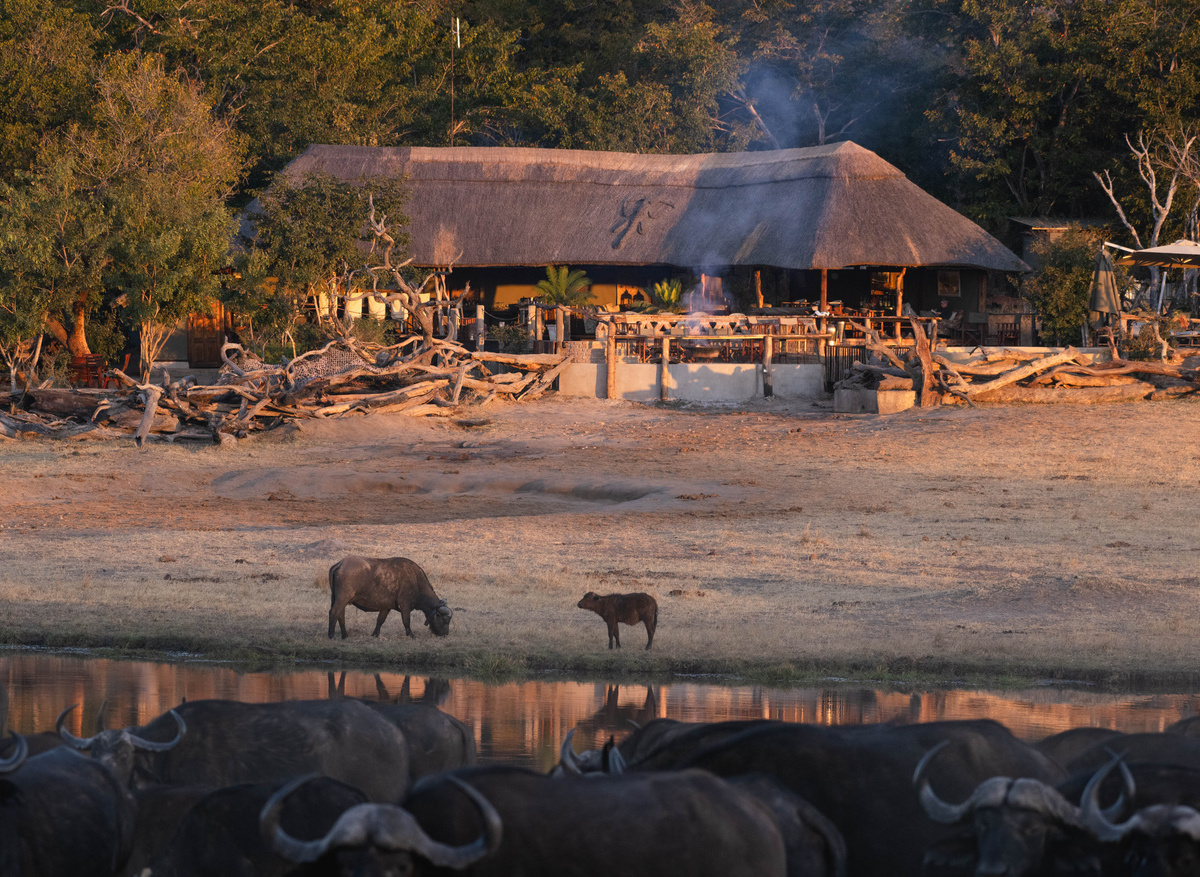 Khulu-Bush-Camp-Front-View-Elephants (1).jpg