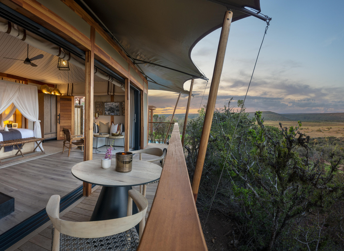 Sindile at Shamwari Private Game Reserve