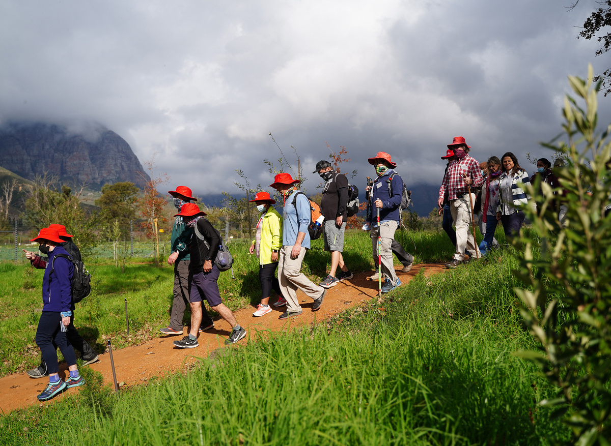 Stellenbosch, Journey of Hope and Healing (2).jpg