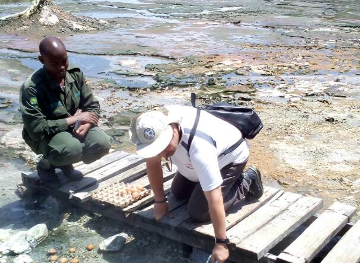 Hot water springs .jpg