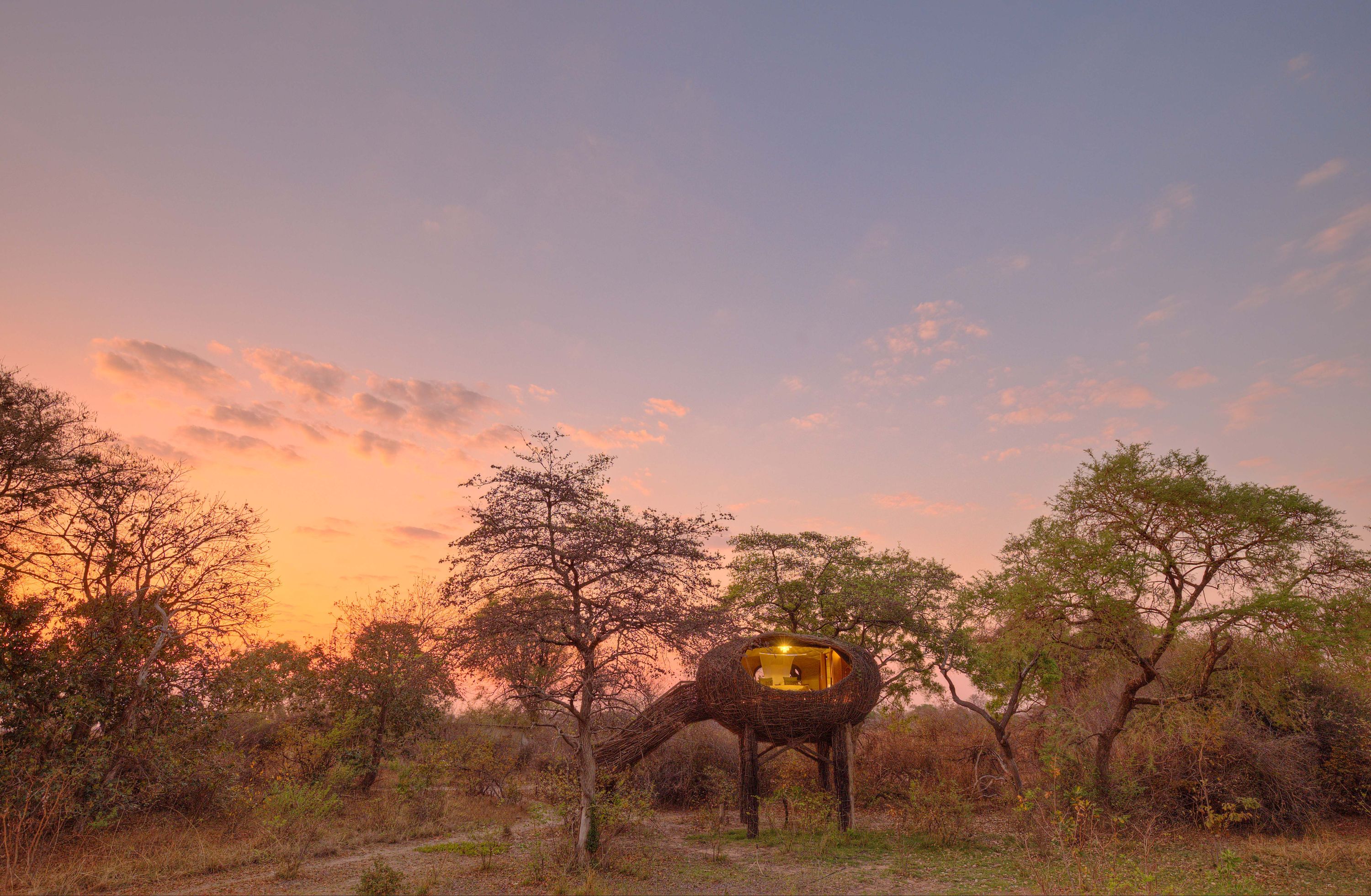 Green Safaris webinar image.jpg