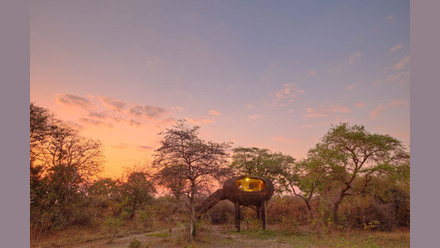 Green Safaris webinar image.jpg