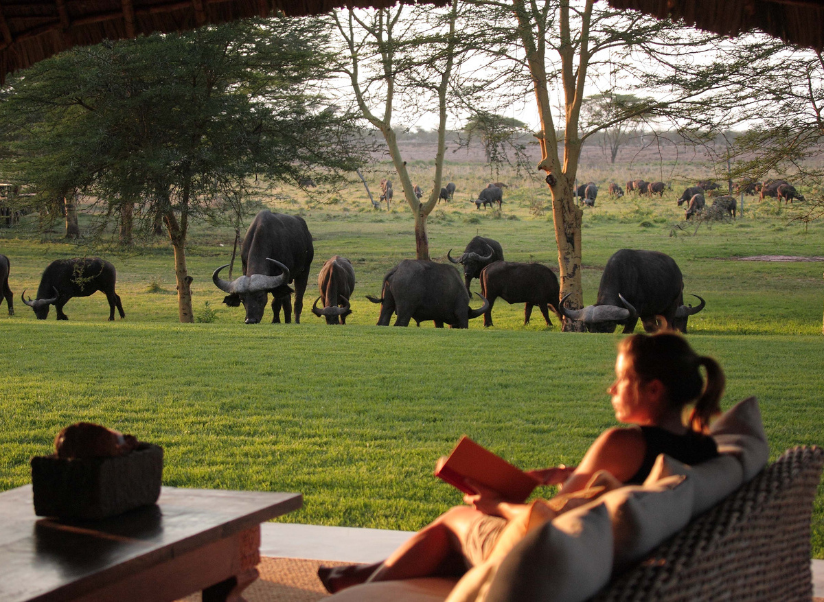 House game viewing from veranda 1.jpg