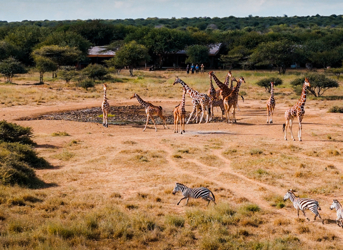 Tumaren_Camp-Waterhole and salt.jpg