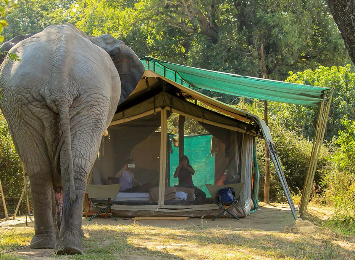 Gonarezhou Bush Camp, Gonarezhou NP