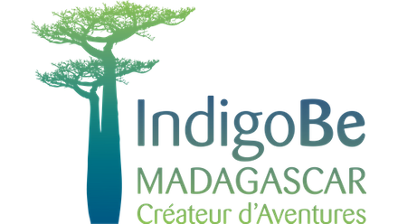 Indigo Be Madagascar SARL.png