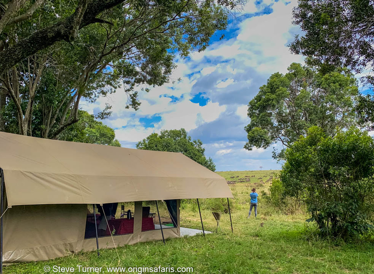 Origins Classic Mobile Camping in the Masai Mara 