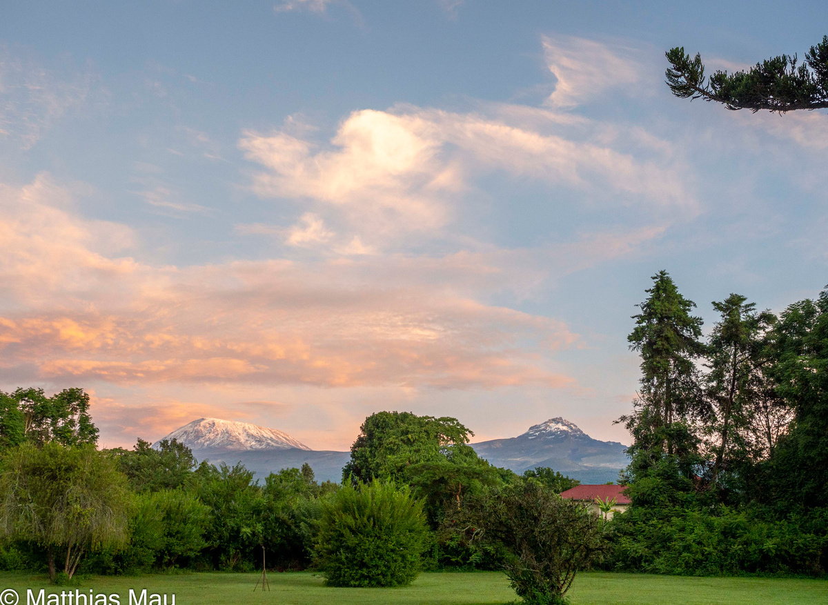 Kilimanjaro from the gardens