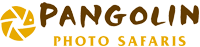 Pangoli Photo Safaris Logo.png
