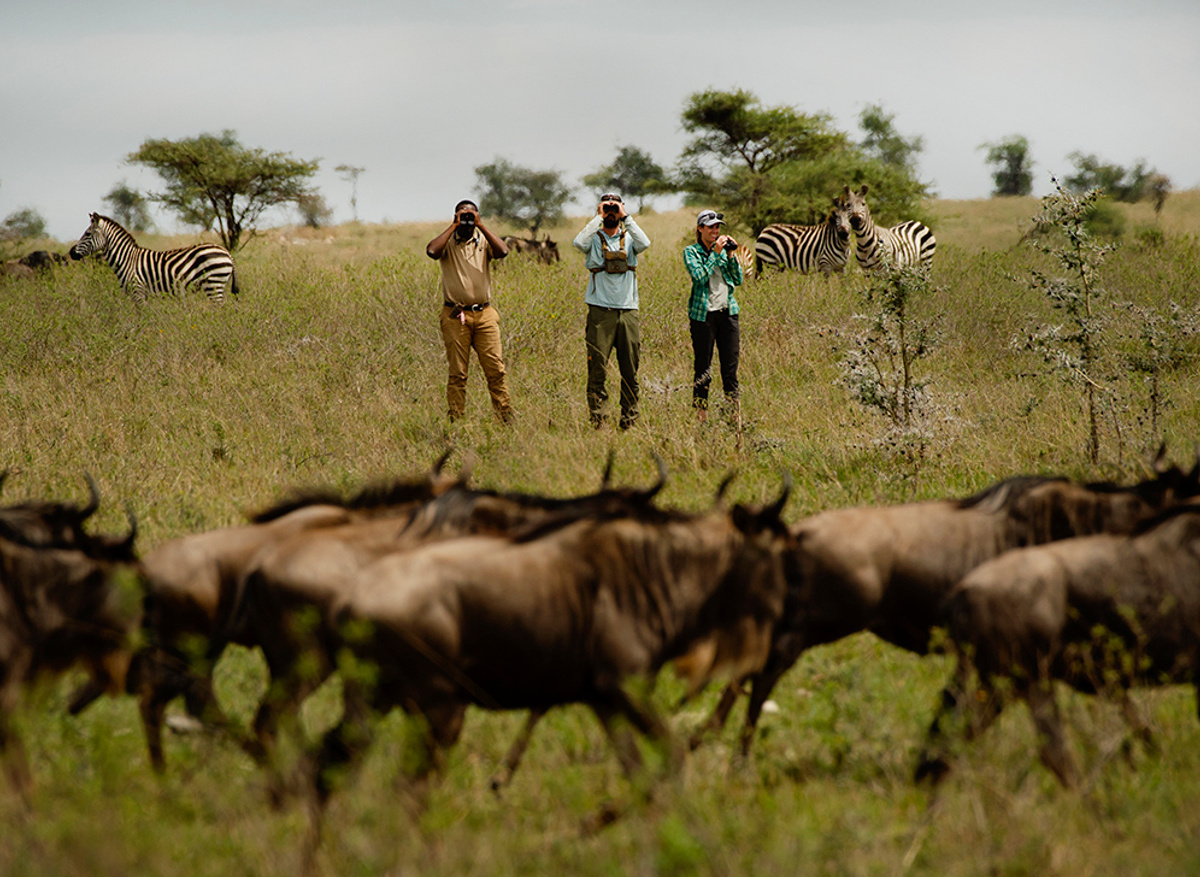 Walking in the Serengeti wilderness area