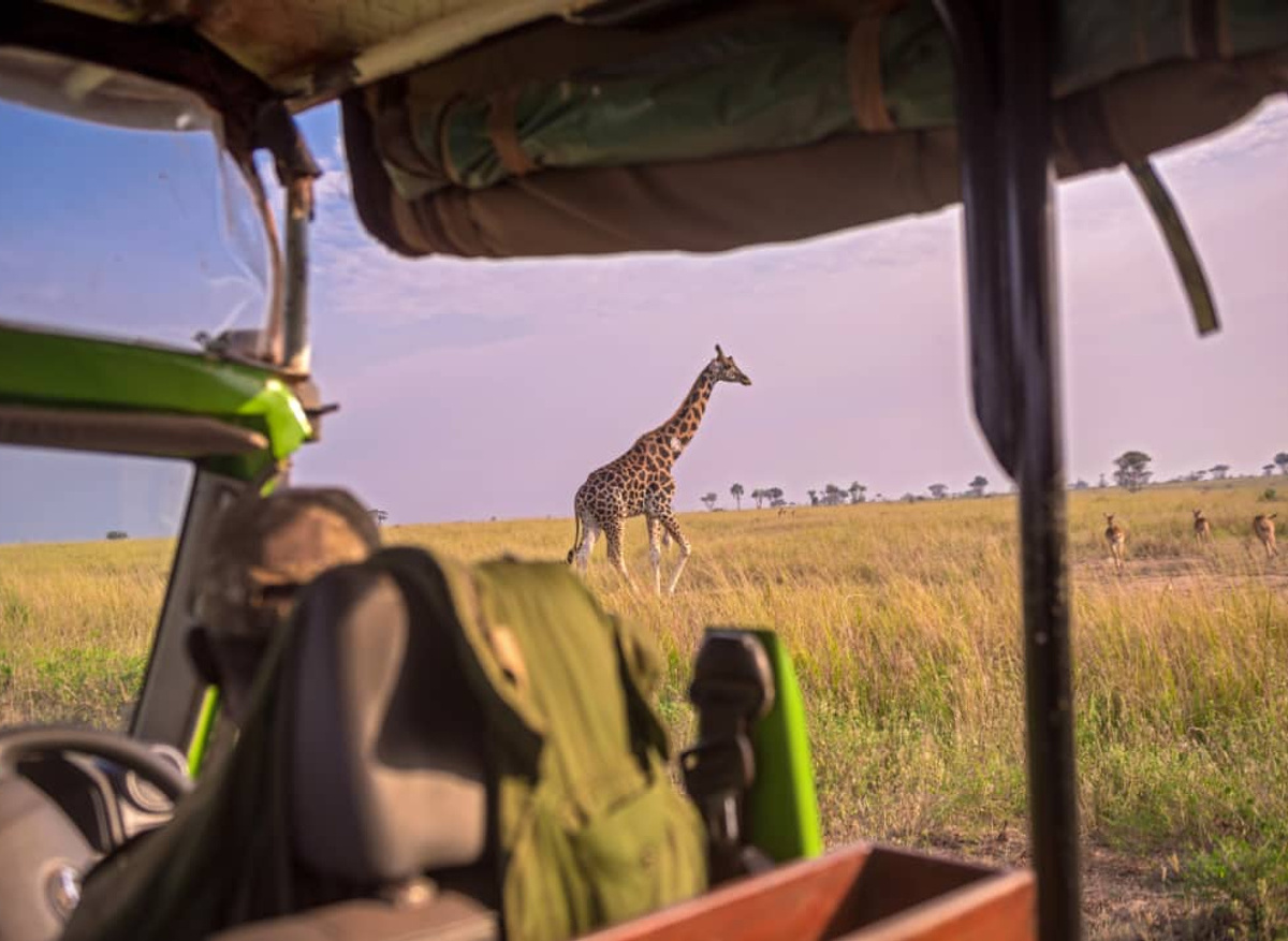Murchison Falls National Park - 2