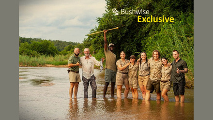 Bushwise+Exclusive+2+SM.jpg