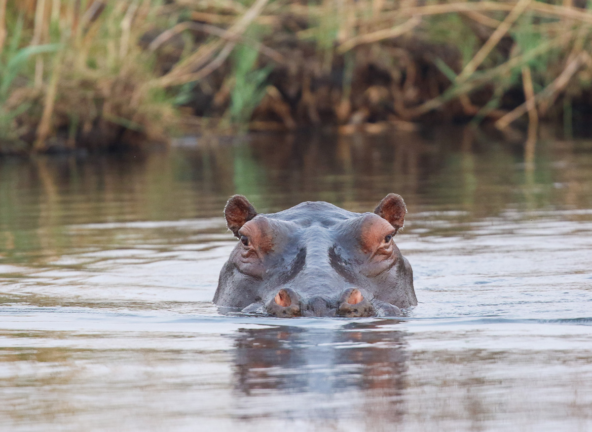 36713CA3-72C8-43B2-977BF38F7A049E30_8