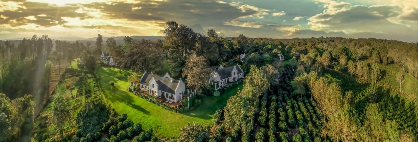 Elewana AerialPanorama_TheManorAtSunset_Banner.jpg