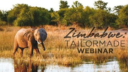 Zim Webinar header 2.jpg