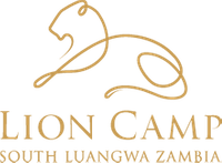 Lion Camp PNG.png