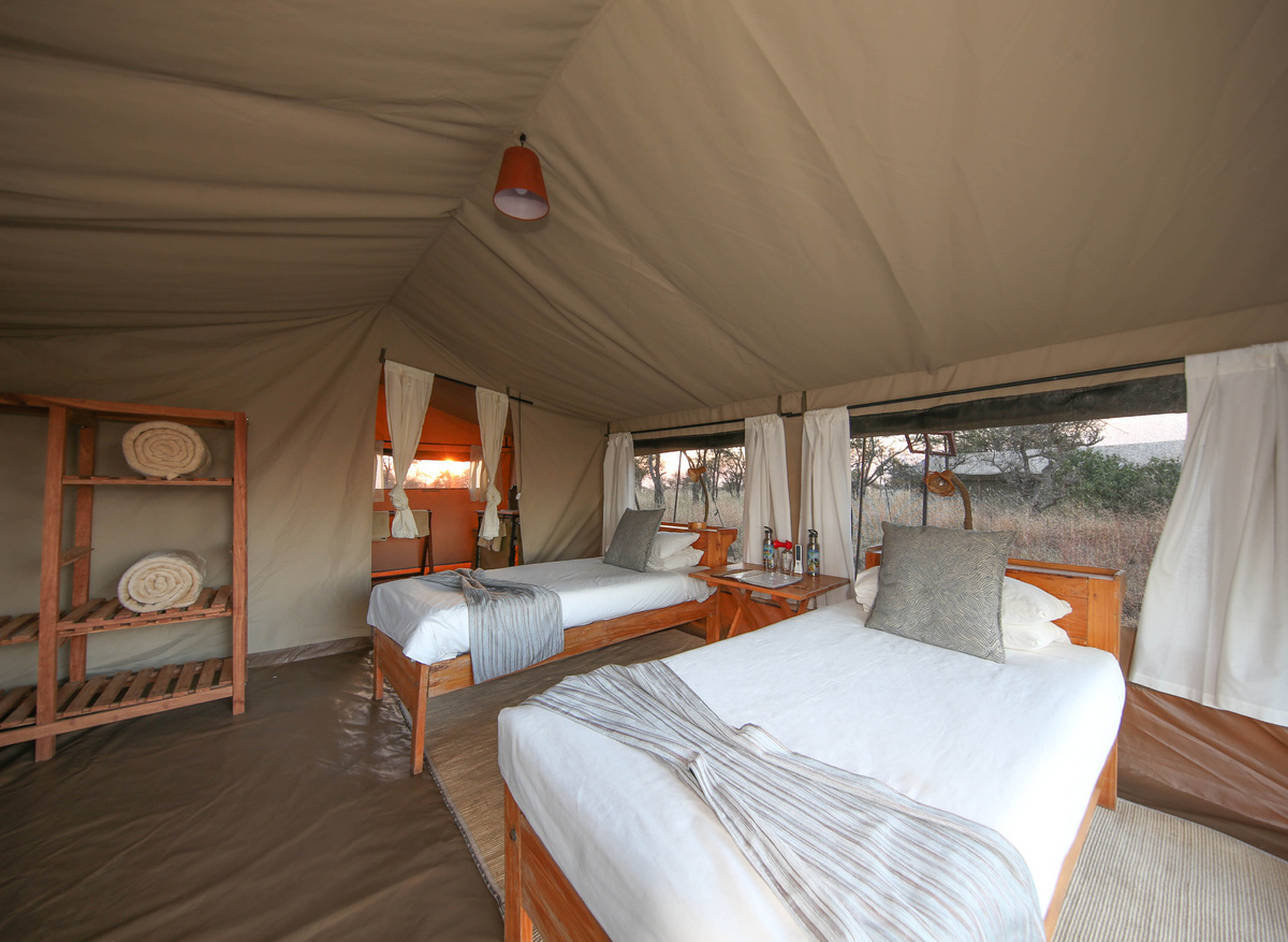 Serengeti North Wilderness Camp - twin tent 