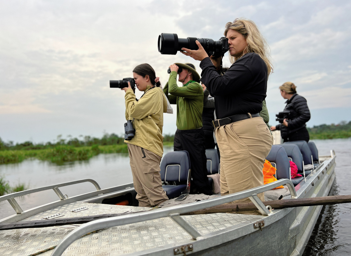 Photographic Safari in Odzala-Kokoua National Park, Republic of Congo