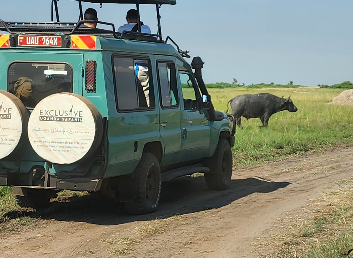Game drive Kasenyi.jpg