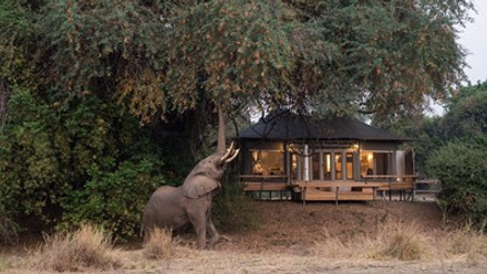 Wilderness Safaris_Chikwenya__Kyle_and_Ruth.jpg